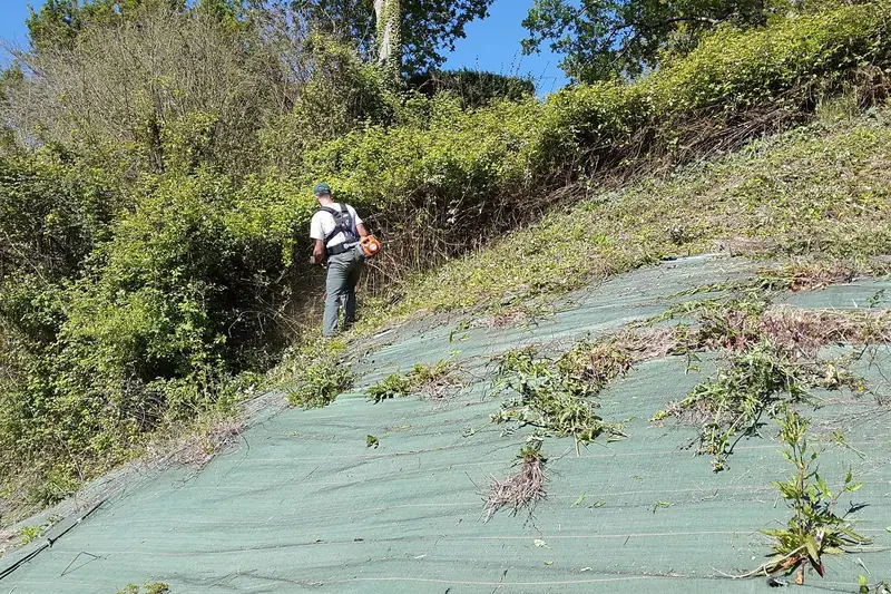Terrain débroussaillé en bord de parcelle