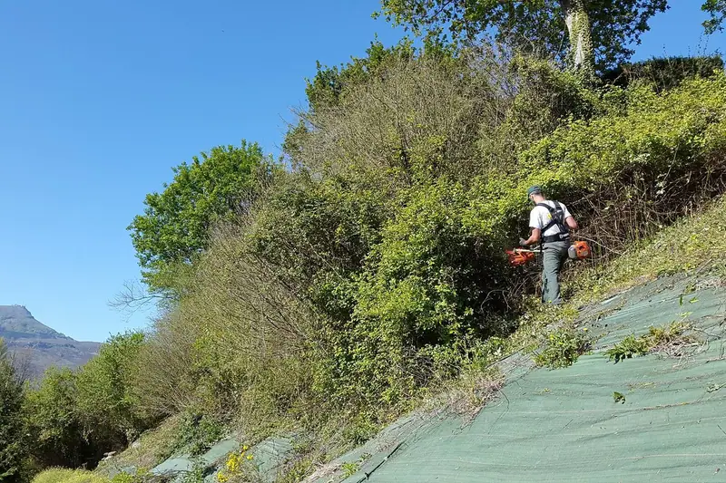 Terrain débroussaillé en bord de parcelle